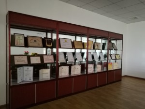 公司介绍